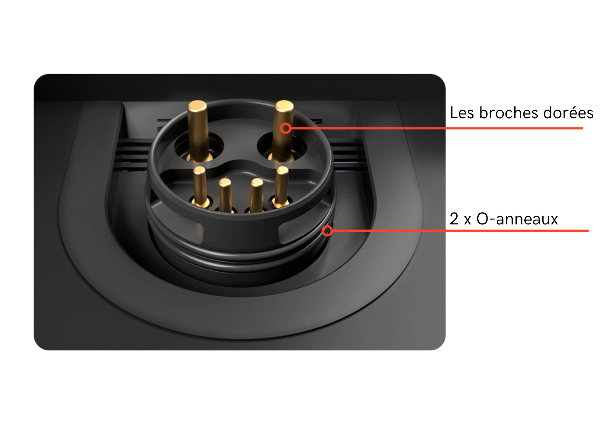 CM_Instr_ONLINE9.pdf (2).png